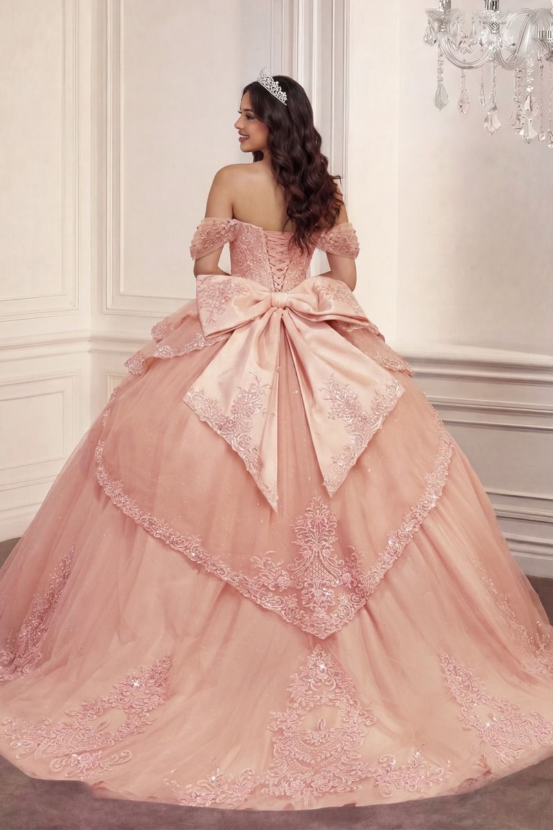 Applique Off Shoulder Ball Gown by Ladivine 15729