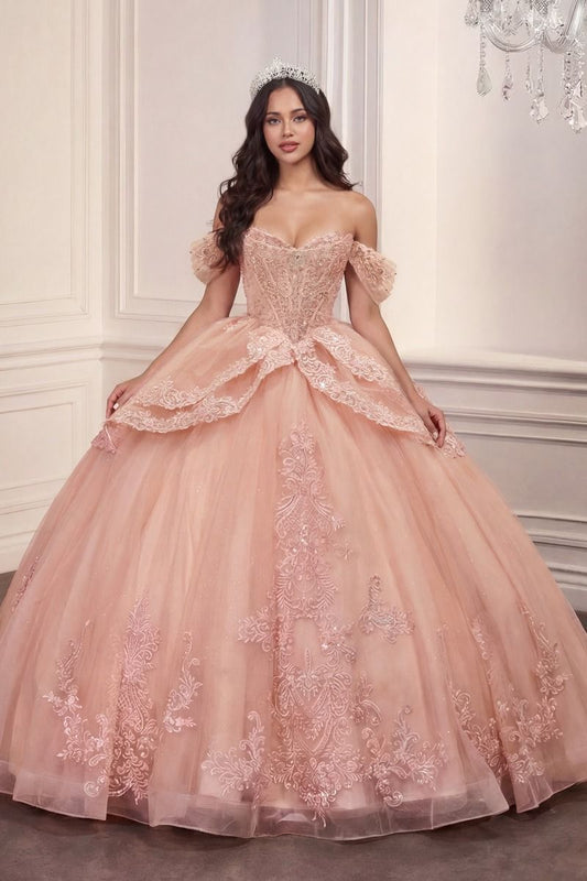 Applique Off Shoulder Ball Gown by Ladivine 15729