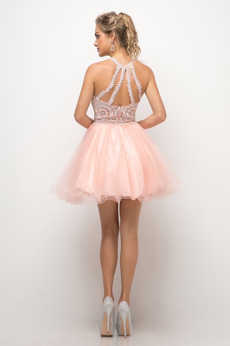 Short Lace Applique Dress by Cinderella Divine UJ0119