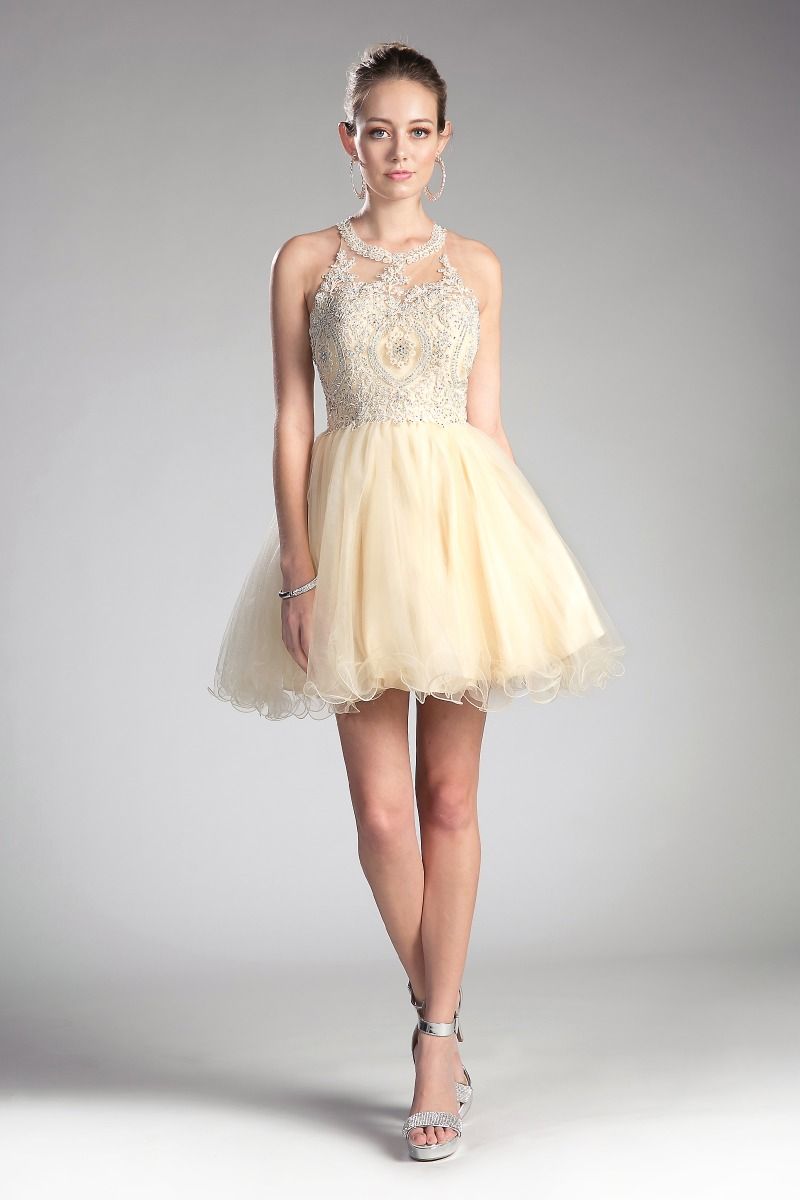 Short Lace Applique Dress by Cinderella Divine UJ0119